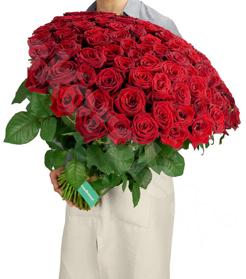 Красные Розы Розы Grang Prix 101 шт. 60 см. Skoroletti в г. Тамбов