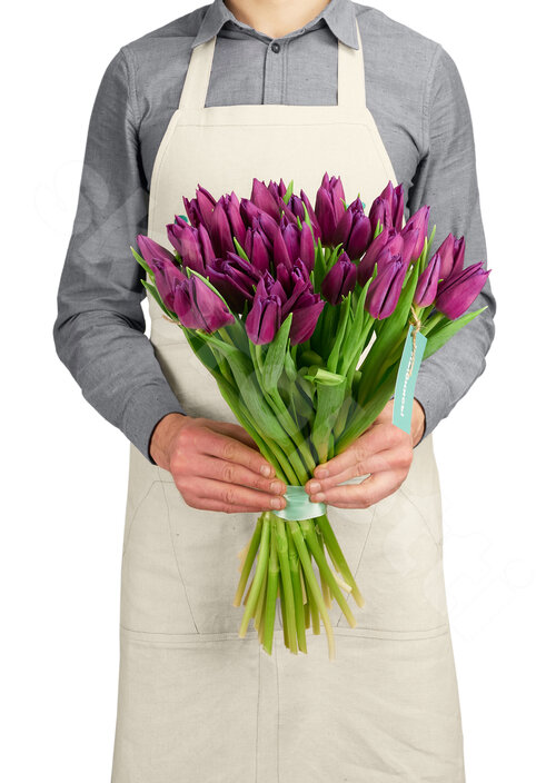 Фиолетовые Тюльпаны Тюльпаны Purple 35 шт. 50 см. Skoroletti в г. Сочи