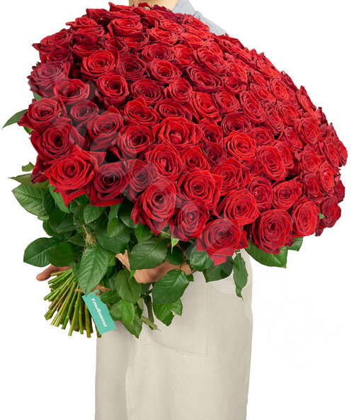 Красные Розы Розы Red Naomi 101 шт. 70 см. Skoroletti в г. Ростов-на-Дону