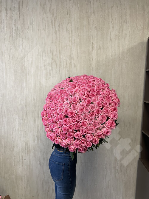Розовые Розы Роза Aqua  шт. 60 см. Skoroletti в г. Липецк