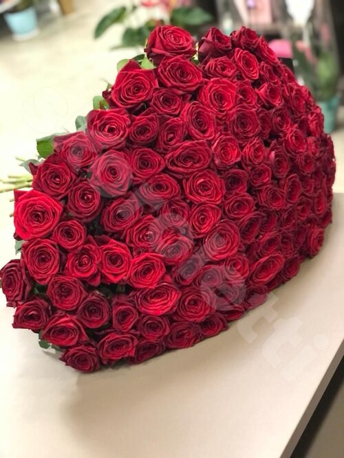 Красные Розы Розы Red Naomi  шт. 80 см. Skoroletti в г. Липецк