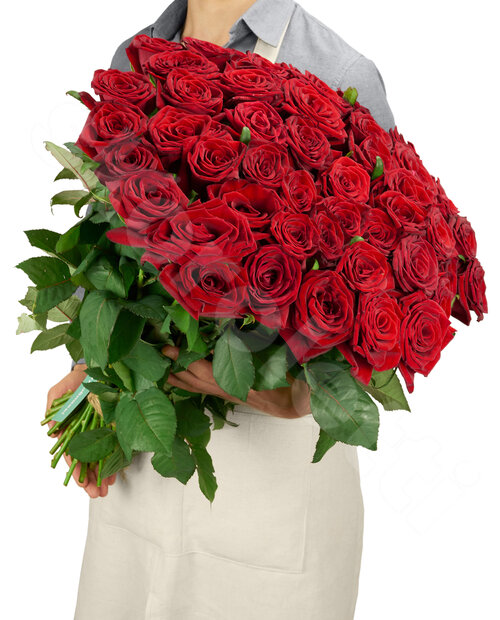 Красные Розы Розы Grand Prix 51 шт. 60 см. Skoroletti в г. Тамбов
