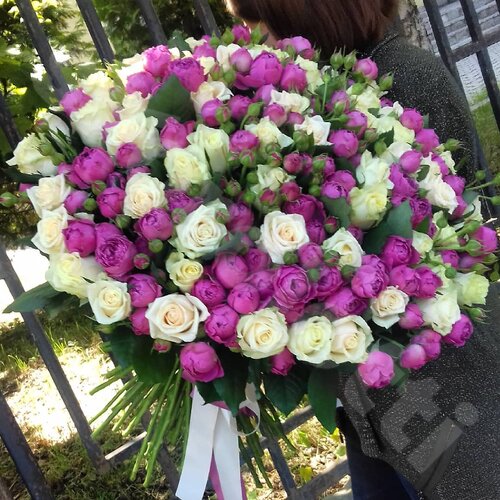 Разноцветные Розы Букет кустовых микс  шт. 60 см. Skoroletti в г. Липецк