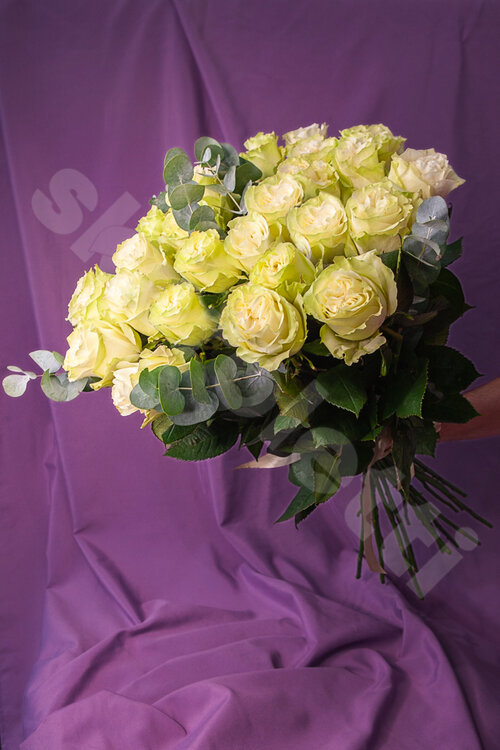 Белые Розы Букет 25 роз Мондиаль  шт. 70 см. Skoroletti в г. Москва