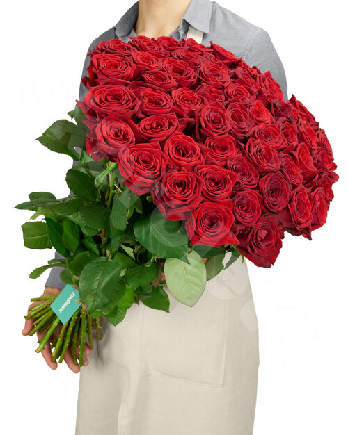 Красные Розы Розы Red Naomi 51 шт. 70 см. Skoroletti в г. Ростов-на-Дону