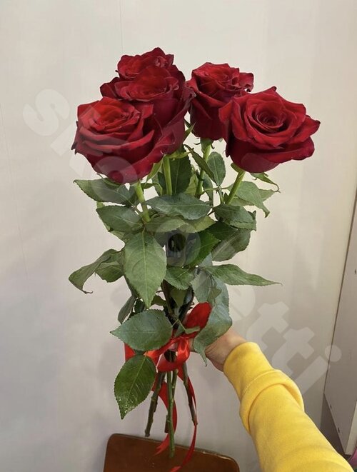 Красные Розы Букет №739  шт. 70 см. Skoroletti в г. Мурманск